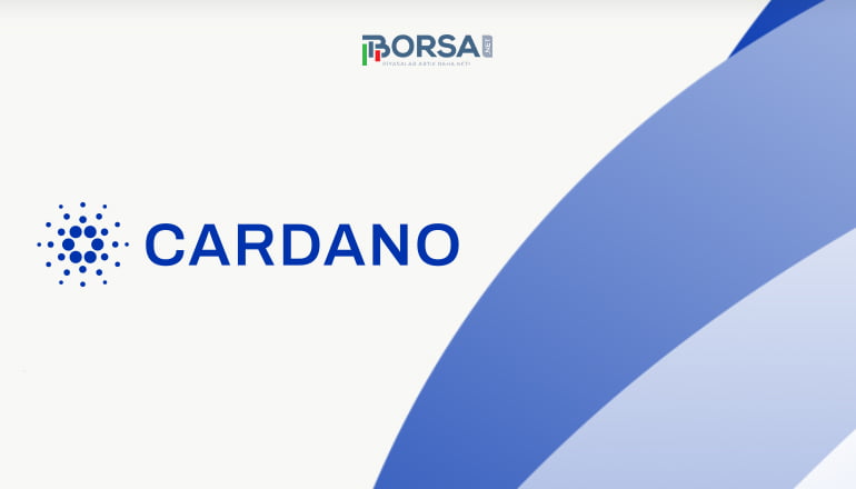 En fazla işlem Havuzuna Sahip Cardano Projeleri