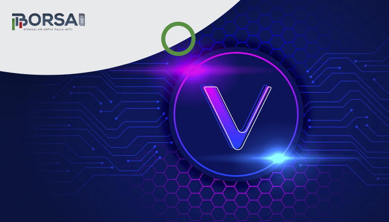 VeChain VIP-220 yükseltmesi ne anlama geliyor?