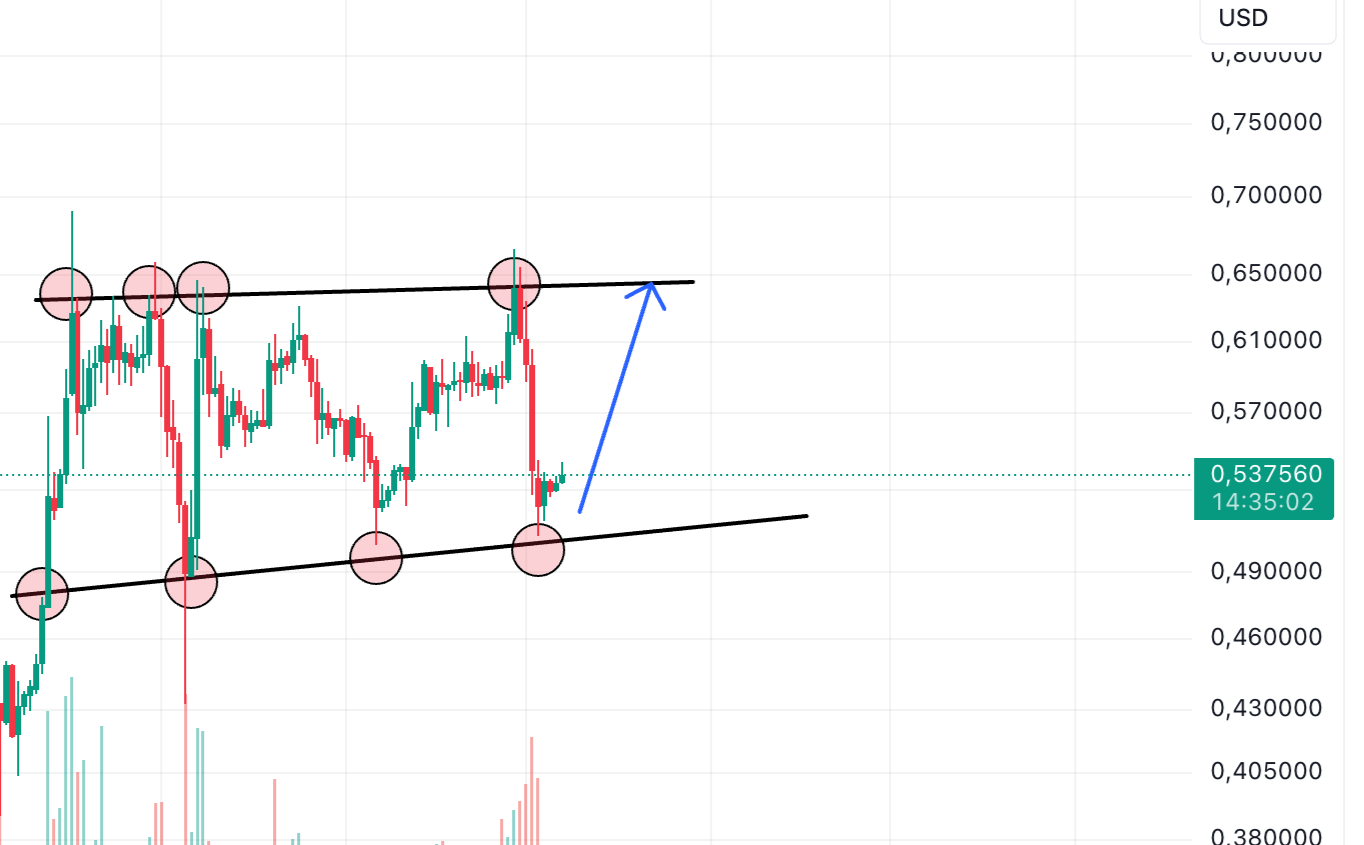 xrp gunluk grafik